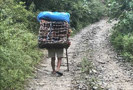Un népalais transportant ses poules